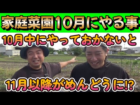 【家庭菜園】10月中にやっておく作業4選!!11月に少しでも楽するためにやっておこう!!【農業初心者】【園芸】【土作り】