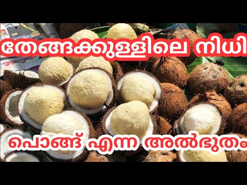 പൊങ്ങ് എന്ന അൽഭുതം||coconut flower||coconut apple ||subscribe  #coconutcutting #coconutflower#viral