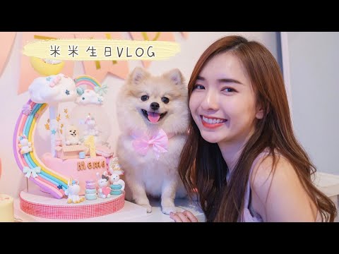 【米米生日VLOG】 生日佈置 + 公園散步 | StephyYiwen