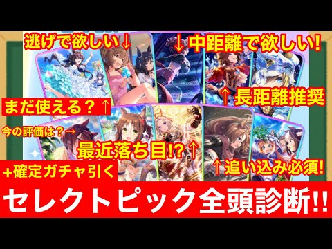 【ウマ娘】確定ガチャの選択を間違えるな！12月セレクトピックアップサポートガチャ全頭診断！！【チャンミ/LoH基準】