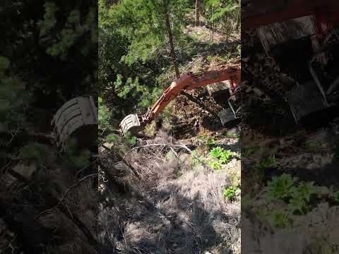 Vintage TD92 Dozer and Hitachi UH043 Excavator Making a Forest Road