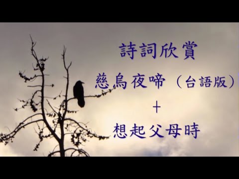 詩詞欣賞  慈烏夜啼(白居易) + 想起父母時