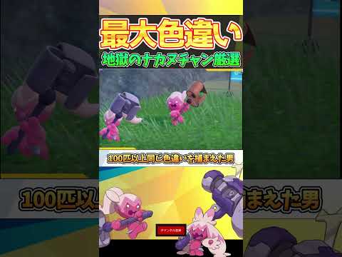 【100匹乱獲】色違い最大証ナカヌチャンの厳選が地獄過ぎた件ｗｗｗ【ポケモンSV】part1 #Shorts #ポケモンSV