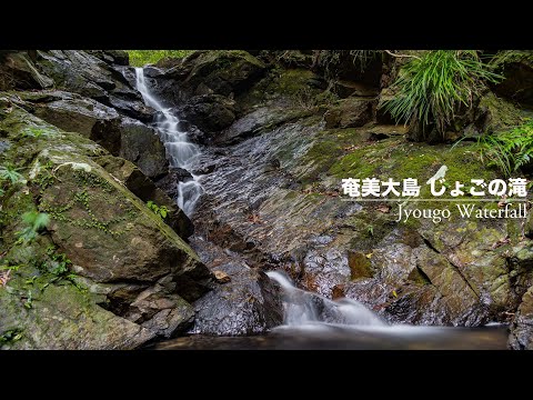 奄美大島 じょごの滝【Jyougo Waterfall】