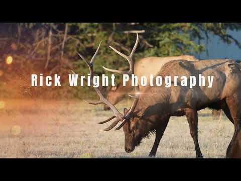 Rick Wright Photography