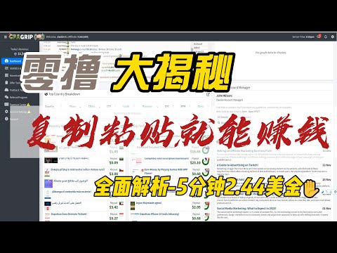 纯被动收益  复制粘贴就能完成的零撸项目