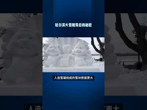 哈尔滨大雪雕背后的秘密