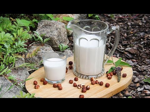 How to make hazelnut milk at home with a nut milk bag