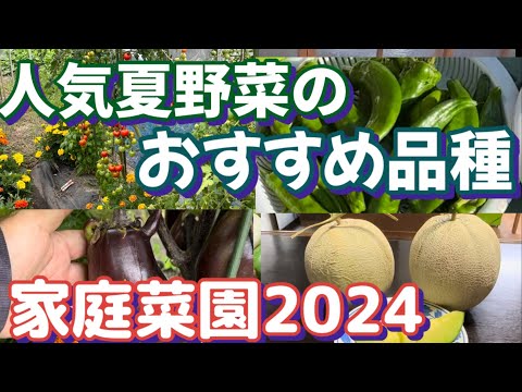 【家庭菜園2024】今年育てる野菜の品種を考えよう！去年まで育てた野菜でおすすめの品種をご紹介します。