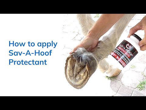 How to use Sav-A-Hoof Protectant