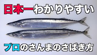 誰でも簡単わかりやすい【秋刀魚さんま】さばき方