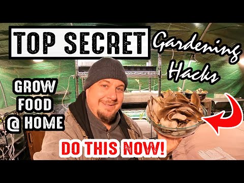 DIY Gardening Tips, Tricks & Hacks To Implement NOW!