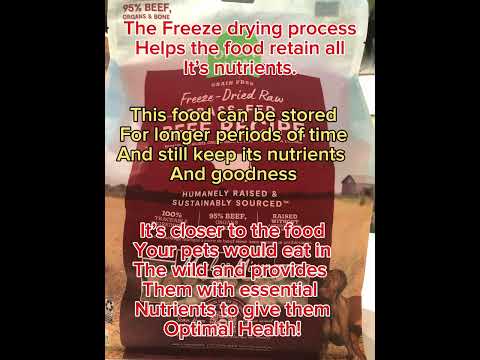 Learn about freeze dried pet food✨🐶😻