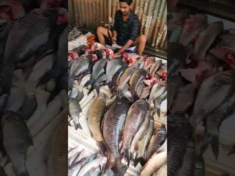 Fish Market ❤️ #trending #viral #mumbai #food #subscribe #youtube #shorts #bihar #ytshorts #funny