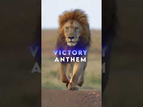 Victory Anthem song status #victoryanthem #song