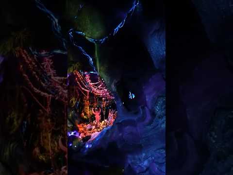 Avatar Flight of passage animal Kingdom part 3 #avatar #animalkingdom #florida #attraction #yt