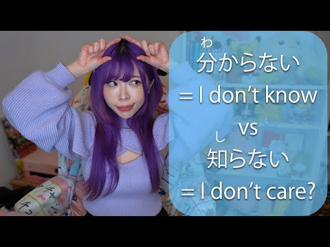 You Don't Understand Japanese unless you Know わかる vs しっている