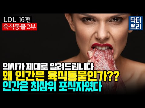 우리 인간은 육식동물이다 (육식동물 2부) [LDL 17편] 인간은 최상위 포식자