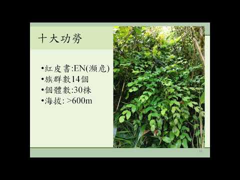 【110保育成果】鹿角坑植物生態調查