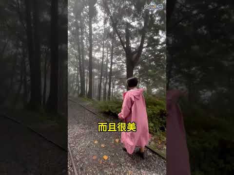 見晴懷古步道