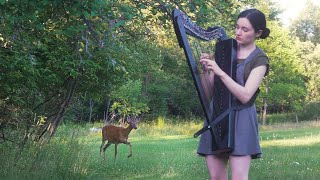 A deer turned my harp session into a Disney movie