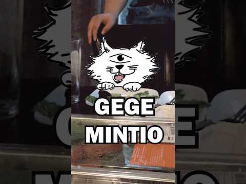 GEGE AKUTAMI NOS MINTIO #jujutsukaisen #gegeakutami