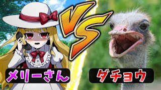 【アニメ】メリーさん vs ダチョウ【TRPG】