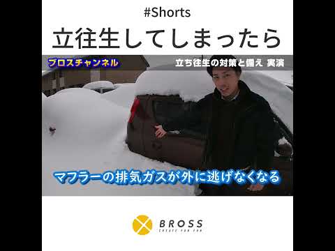 車の大雪対策 #Shorts