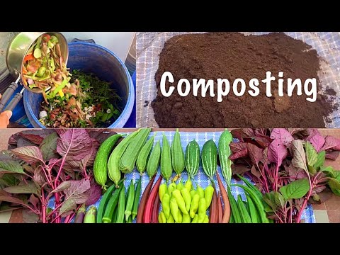 Composting At Home // How To Make Compost At Home // Organic Fertilizer For All Plants