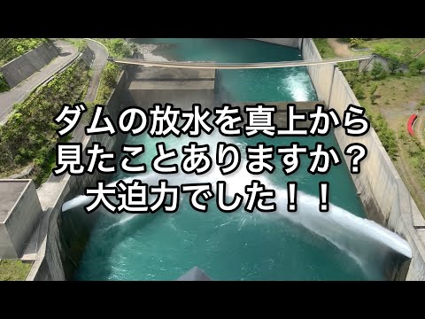 【静岡県】ダムの放水を真上からみたことありますか？大迫力でした！！【shizuoka】