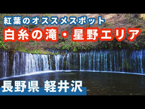 【長野 軽井沢】無料で堪能出来る見事な紅葉ライトアップ。　オススメの森のカフェ、激ウマ山賊焼きのお店もこっそりご紹介。　居食庵 えにしや/白糸の滝/星野エリア/ブレストンコート