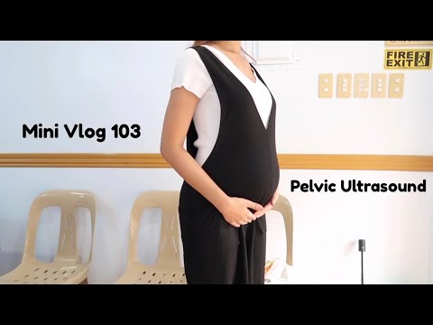 Pelvic Ultrasound for Second Trimester + Grocery for Gender Reveal