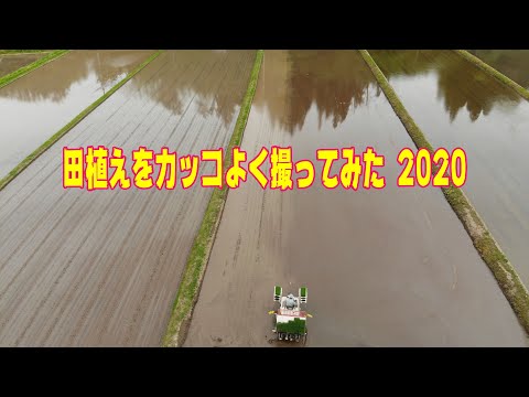 田植えをカッコよく撮ってみた2020