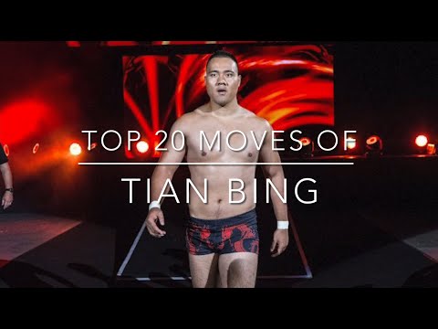 Top 20 Moves of Tian Bing