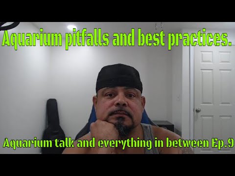 Aquarium pitfalls and best practices