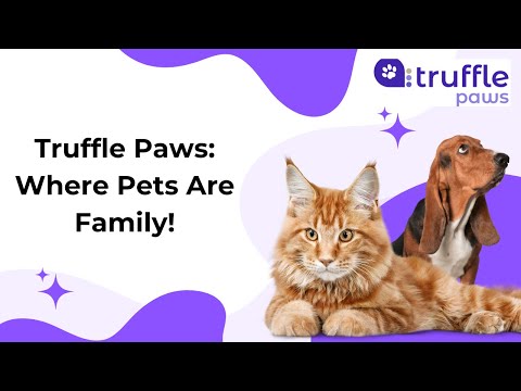 Truffle Paws: Where Pets Are Family!