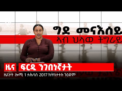 TBS TV| ፍርዲ ንገበናኛታት /ታሪኽ መፅሓፍ ኣክሱም / ዓለምለኸ መዓልቲ ሕማም ሳምባ ምቺ / ፋብሪካ ወርቂ ሜሊ-ኢዛና