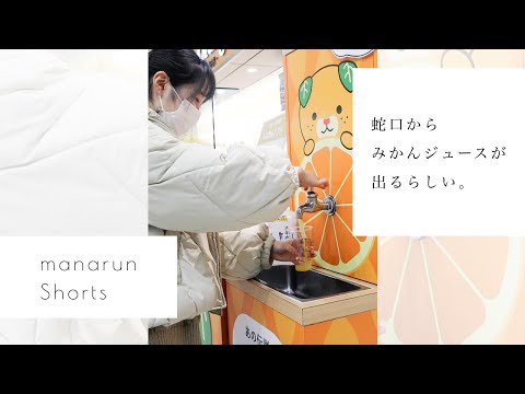 ［愛媛の都市伝説］蛇口からみかんジュースが出てきました。#shorts #日常vlog