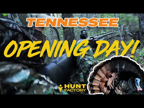 The STRUGGLE is REAL - Opening Day Turkey Hunting In Tennessee!