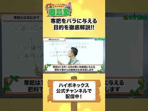 【園芸の基本】寒肥の与え方とおすすめ資材について徹底解説します！☃️〜お礼肥との違いについても熱血解説!!🔥〜#shorts