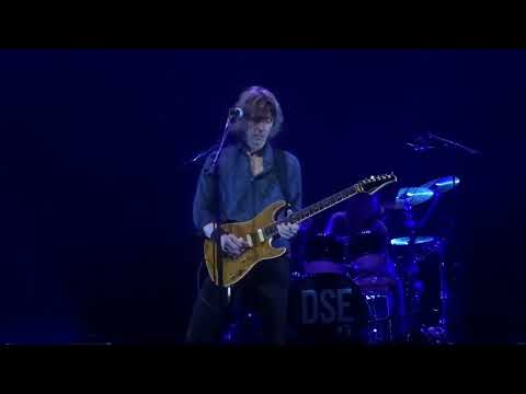 Dire Straits Experience - Brothers in arms (Live in Rotterdam)