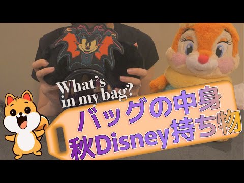 【秋ディズニー】ディズニーハロウィンを楽しむためのバッグの中身を紹介🎃