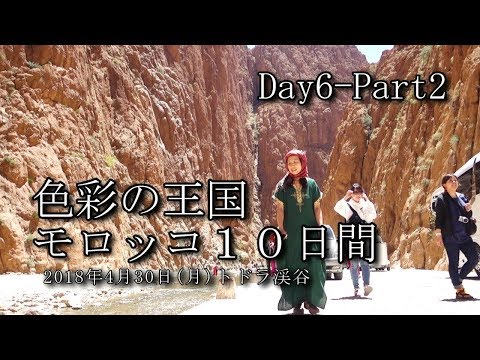 【モロッコ旅行 Day6-Part2】メルズーガ～トドラ渓谷