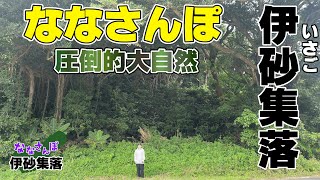 【伊砂】大自然もある柑橘集落【ななさんぽ】