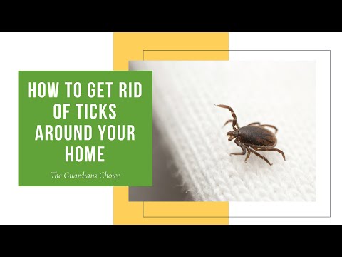 Ticked off | How to Get Rid of Ticks Around Your Home | The Guardians Choice