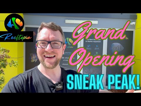 Reeftopia - LFS Grand Opening - Special Sneak Peek