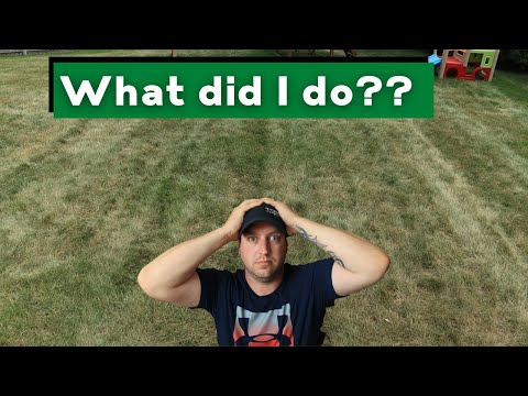 I broke the rules and paid the price!! /  Lawn mistakes