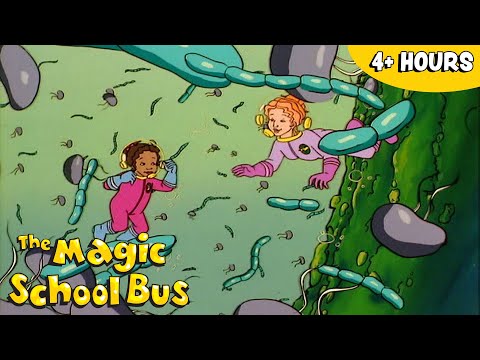 The Magic School Bus 🚌 Season 2 FULL EPISODES