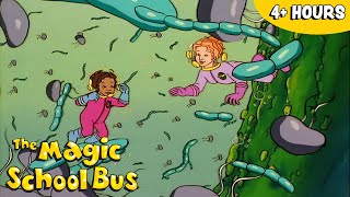 The Magic School Bus 🚌 Season 2 FULL EPISODES