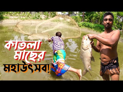 অল্প পানিতে বড় মাছের মেলা | Fishing in Ponds | Giant Fish